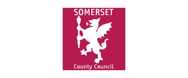 somerset county council business plan