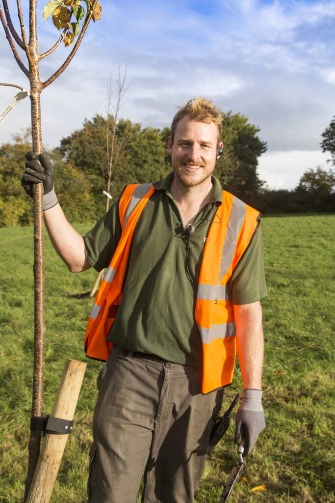 Celebrating Frome’s community with commemorative blossom trees - Frome ...