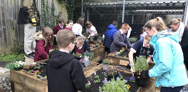 Bee-friendly planters on Oakfield Road for Safer School Streets trial ...